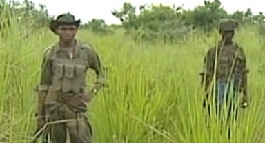 Grande Informação – Parte I