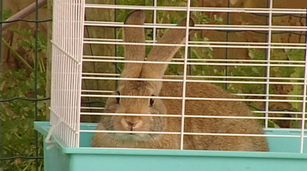 Fábrica das Anedotas