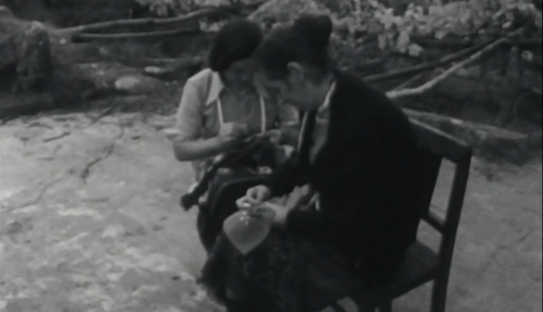 Oh! Minha Bela Cooperativa