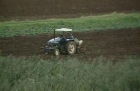 Situação dos portugueses no Zimbabwe