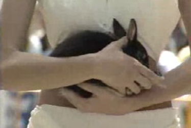 Defesa dos animais na UE