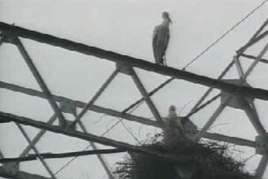 EDP justifica apagão