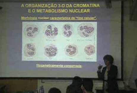 Cancro em debate