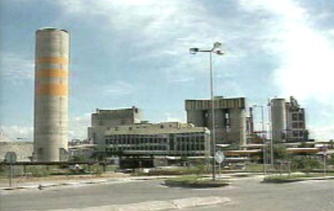 Luz verde para a coincineração