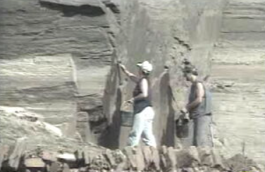 Compensação financeira da EDP