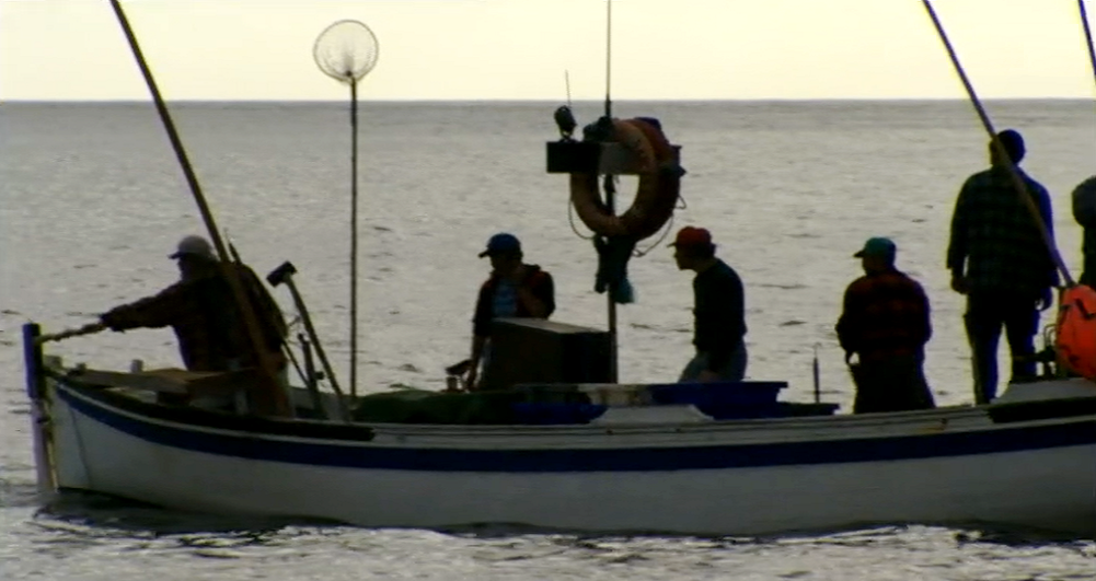 Crónica de Gente Esquecida – Parte I