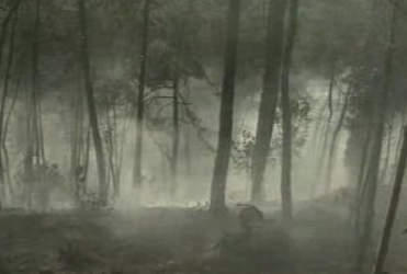 Incêndio em Albergaria