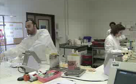 Novas regras para a recolha de sangue