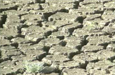 Medidas de combate à seca