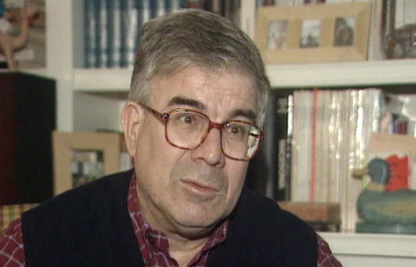 Declarações de Saldanha Sanches