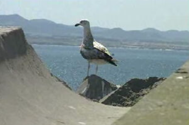 Criação do Parque Natural do Tejo Internacional