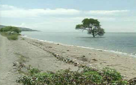 Arrependidos em Timor-Leste