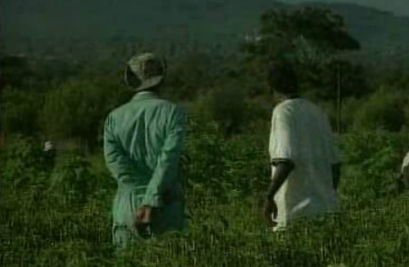 Plano do Governo para a crise no Zimbabwe