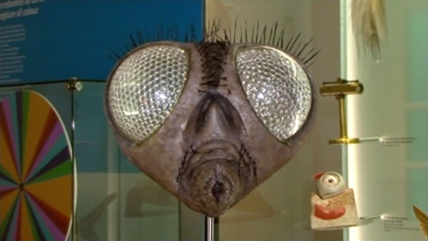 Museografia da Ciência