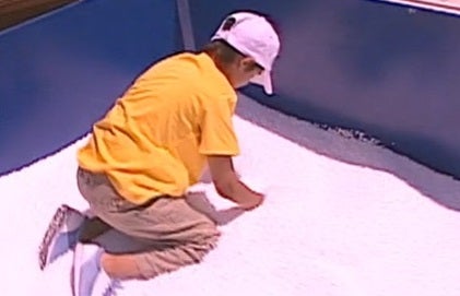 Todos ao Oceanário – Parte I