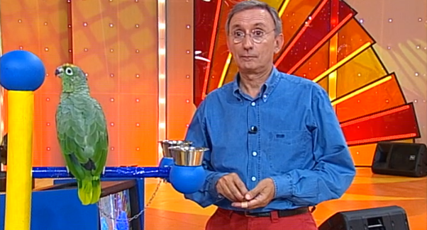 O Passeio dos Alegres – Parte IV