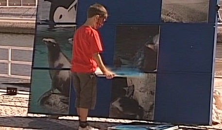 Todos ao Oceanário – Parte I