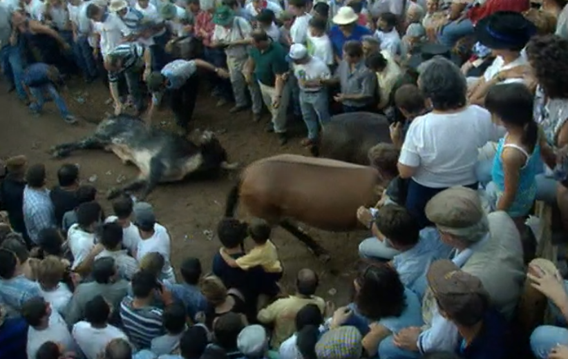 Descriminalização dos touros de morte