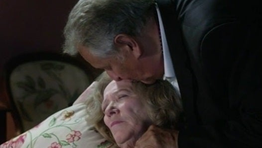 Antestreia do filme “Os Gatos Não Têm Vertigens”