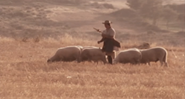 Longe é a Cidade – Masculino e Feminino