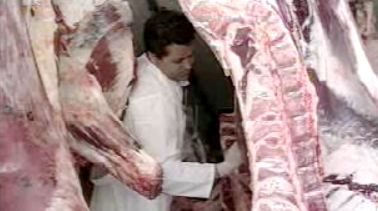 Fiscalização à qualidade alimentar