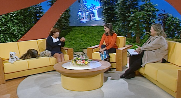 Guia Dia A Dia – Parte II