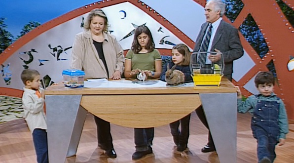 Guia Dia A Dia – Parte III