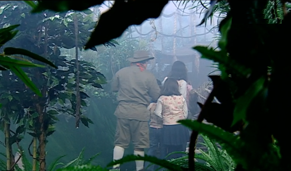 Árvores, Arbustos e Outras Plantas Mais – Parte I