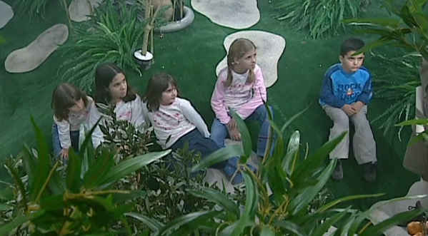 Árvores, Arbustos e Outras Plantas Mais – Parte II