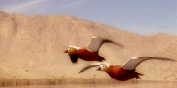 “Navegações” de Sophia de Mello Breyner Andresen