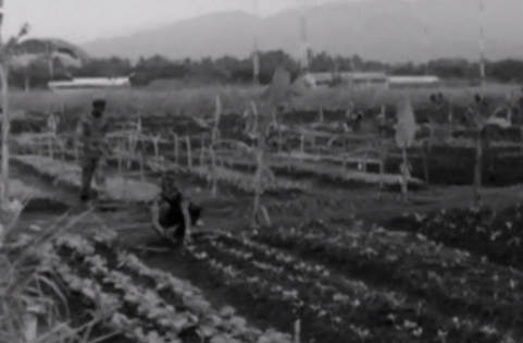 Independência de São Tomé e Príncipe – Parte III