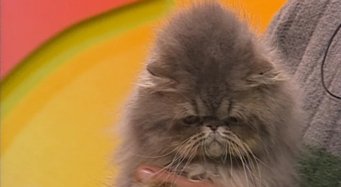 Clube Zip – Parte III