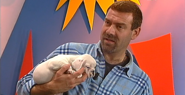 Clube Zip – Parte V