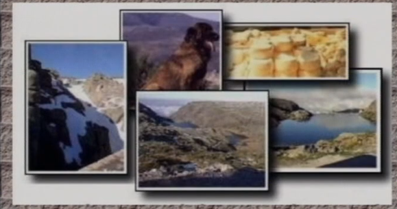 Clube Zip – Parte III