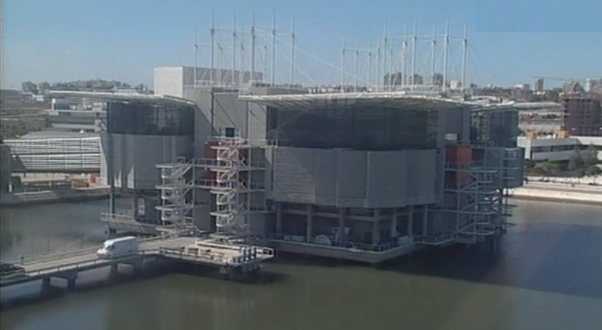 Clube Zip – Parte IV