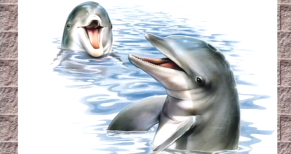 Clube Zip – Parte II