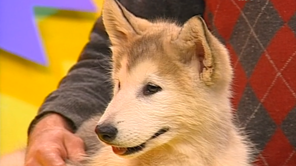 Clube Zip – Parte IV