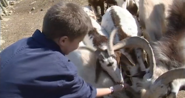 Clube Zip – Parte V