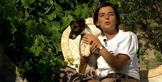 Companhia dos Animais