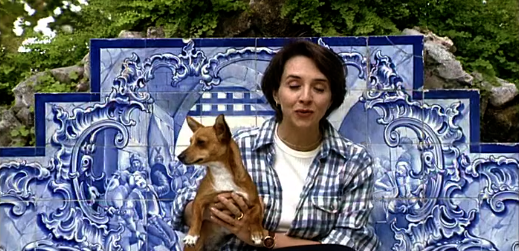 Companhia dos Animais