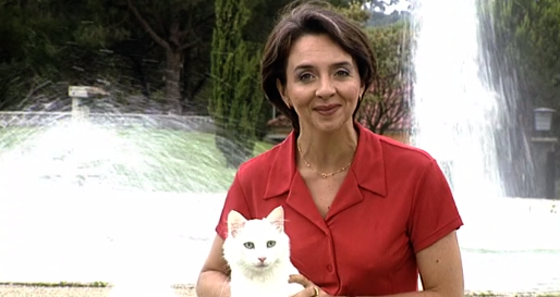 Companhia dos Animais