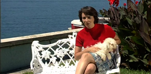 Companhia dos Animais