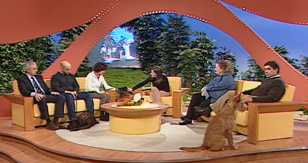 Guia Dia A Dia – Parte I