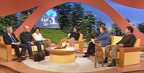 Guia Dia A Dia – Parte II