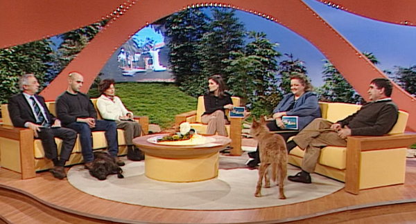 Guia Dia A Dia – Parte III