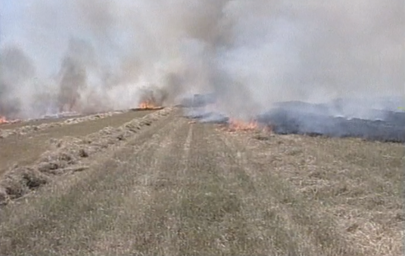 Incêndios em Évora