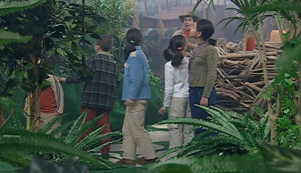 O Aniversário da Dona Coruja – Parte I