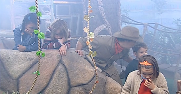 Qualidade de Vida – Parte I