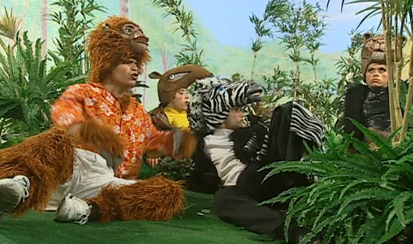 A Escola da Dona Coruja – Parte IV