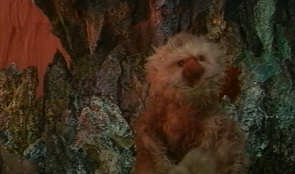 Histórias de Corpo Inteiro